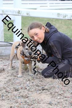 DOG-152