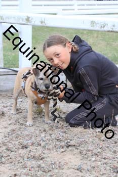 DOG-153
