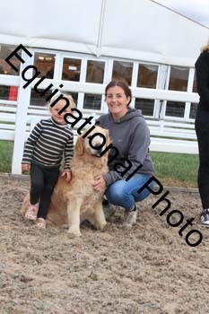 DOG-168