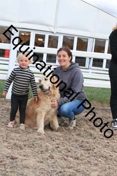 DOG-169