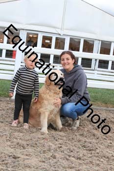 DOG-172