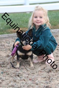 DOG-174