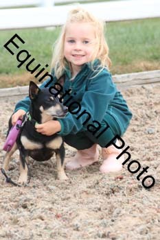 DOG-175