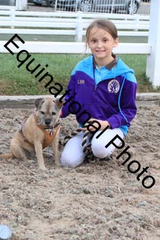 DOG-181