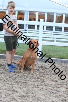 DOG-189