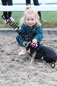 DOG-192