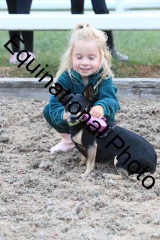 DOG-193