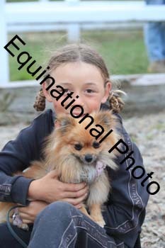 DOG-201