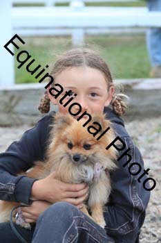 DOG-202