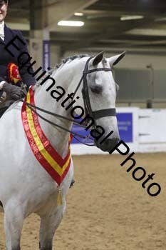 BAX-2207