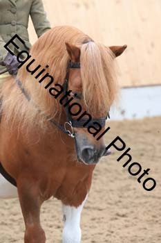 LUM-1886