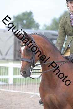 DPS-1111