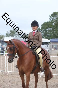 DPS-1119