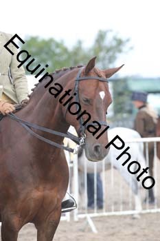 DPS-1126