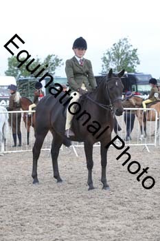 DPS-1128