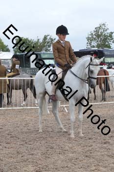 DPS-1134
