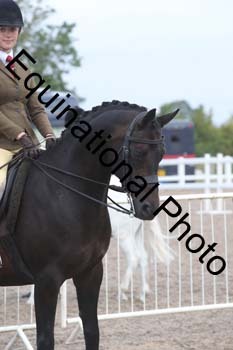 DPS-1142