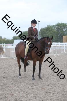 DPS-1146