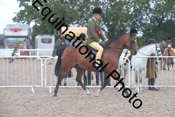 DPS-1167