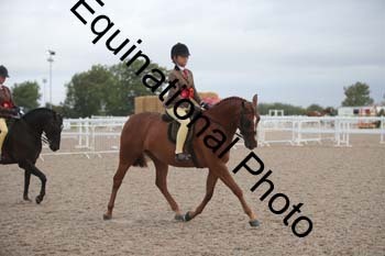 DPS-1169