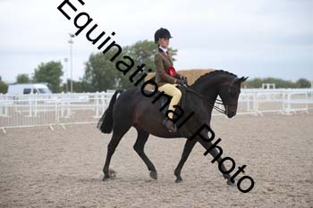 DPS-1173