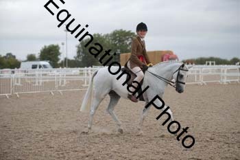 DPS-1174