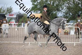 DPS-1186