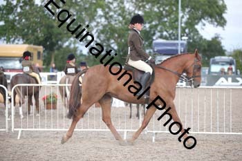 DPS-1190
