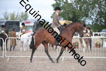 DPS-1193
