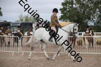 DPS-1194