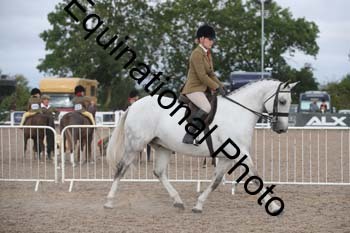 DPS-1195