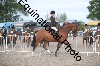 DPS-1196