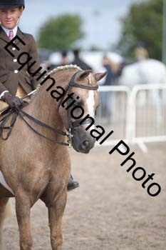 DPS-1881