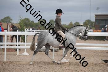 DPS-1916