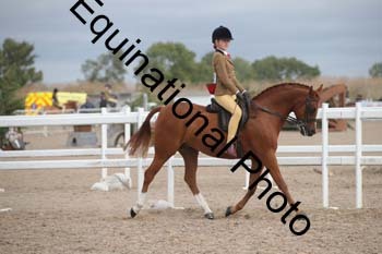 DPS-1941