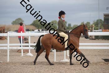 DPS-1946