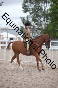 DPS-1951