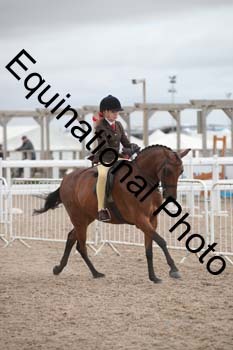DPS-1952