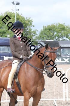 DPS-2001