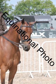 DPS-2003