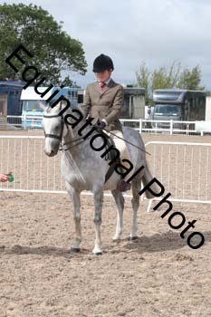 DPS-2011