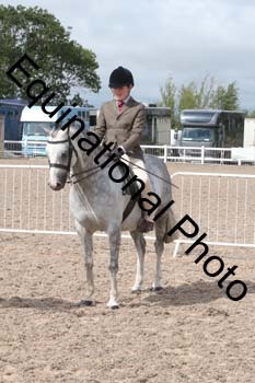 DPS-2013