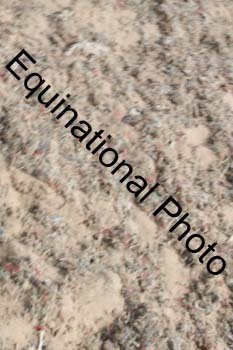 DPS-2018
