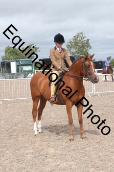 DPS-2021