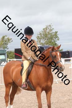 DPS-2022