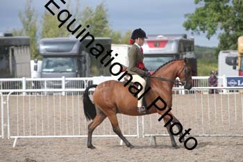 DPS-2043