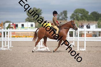 DPS-2052
