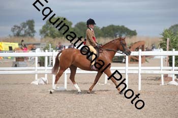 DPS-2053