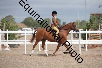 DPS-2054