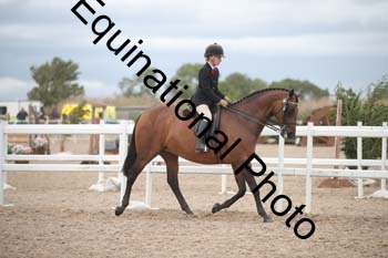 DPS-2163